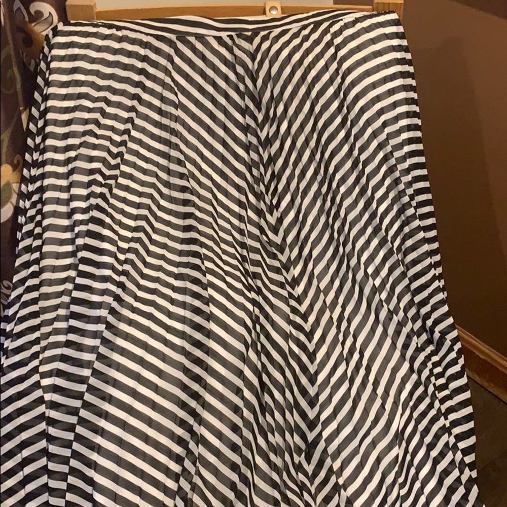 Pleated Skirt